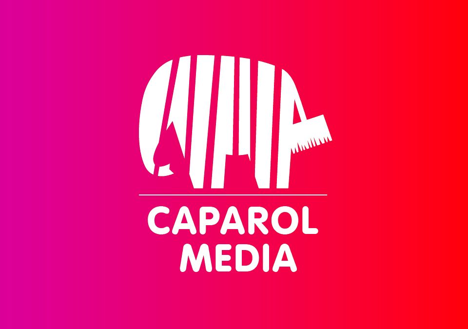Caparol Media intervista Stefano Mulas